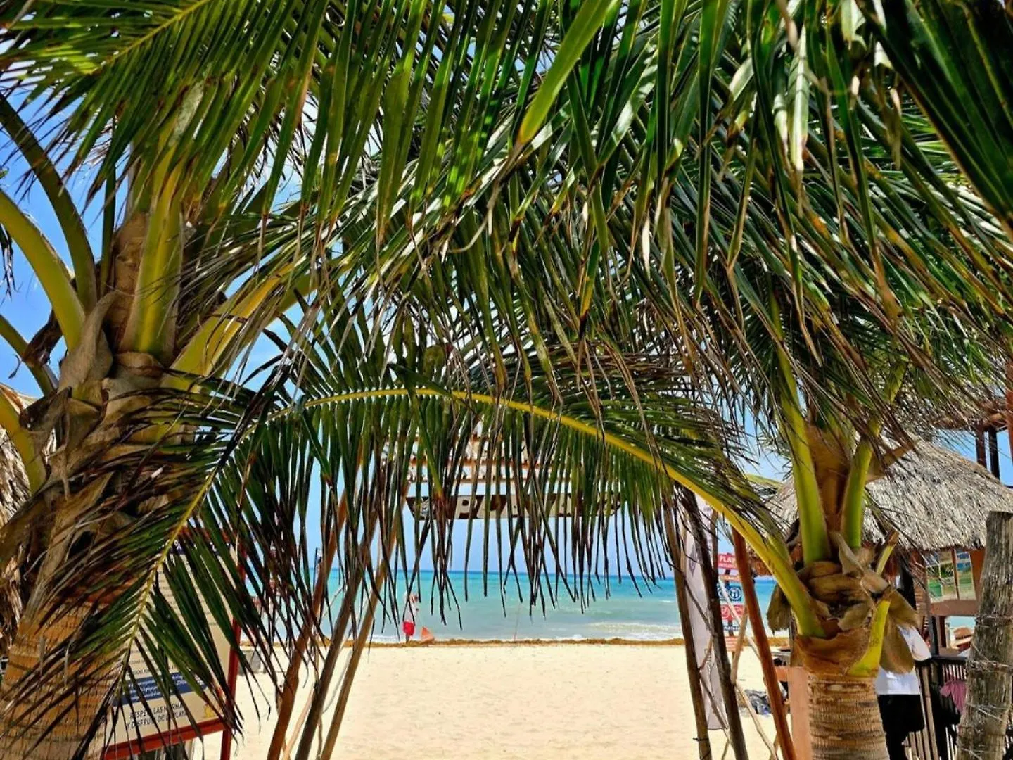 Sophia'S Beach House At Emiliano 42 Playa del Carmen