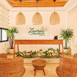  Apartment Chic Condotel With Roof Pool 10-min Walk To